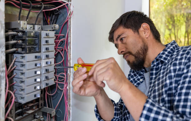 Best Ceiling Fan Installation Electrician  in Homewood, IL